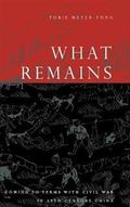 What Remains : Coming to Terms with Civil War in 19th Century China