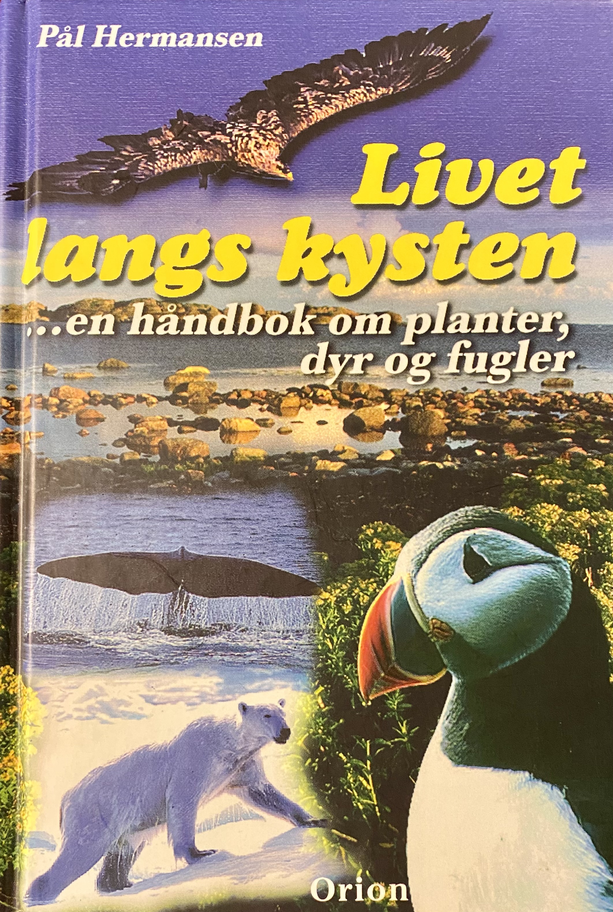 Livet langs kysten