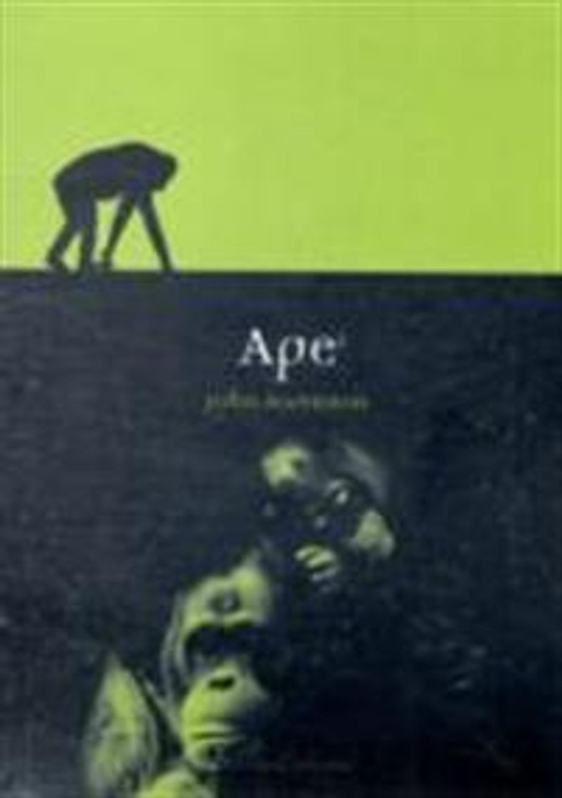Ape
