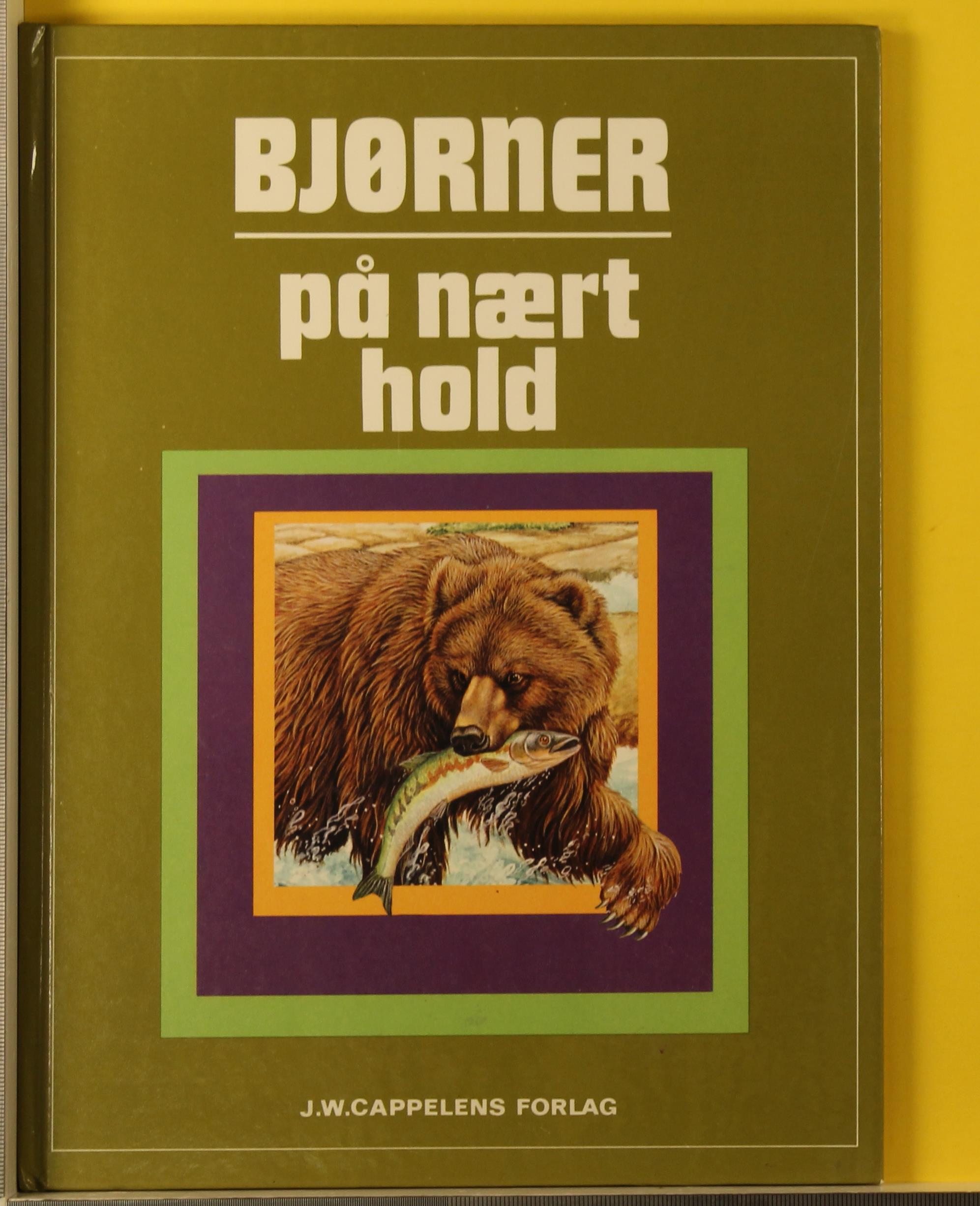 Bjørner på nært hold av Susannah Cook på Bookis.com