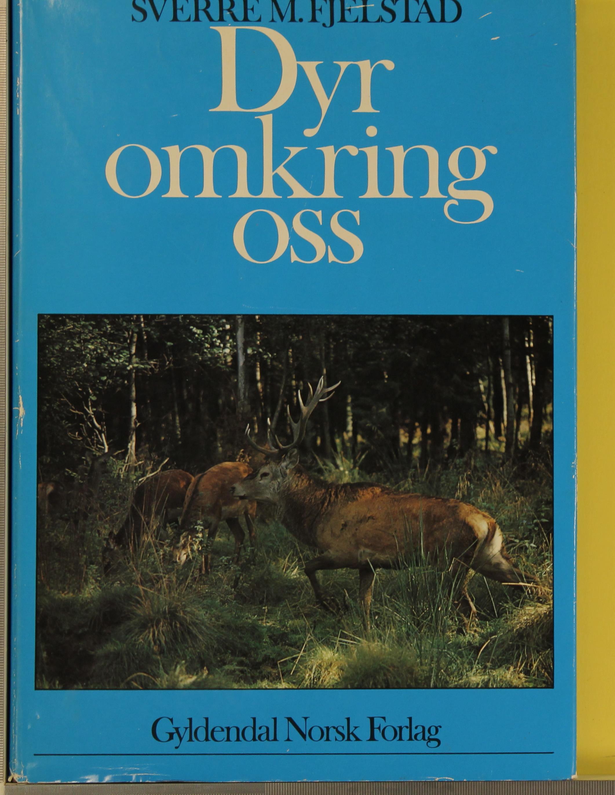 Dyr omkring oss