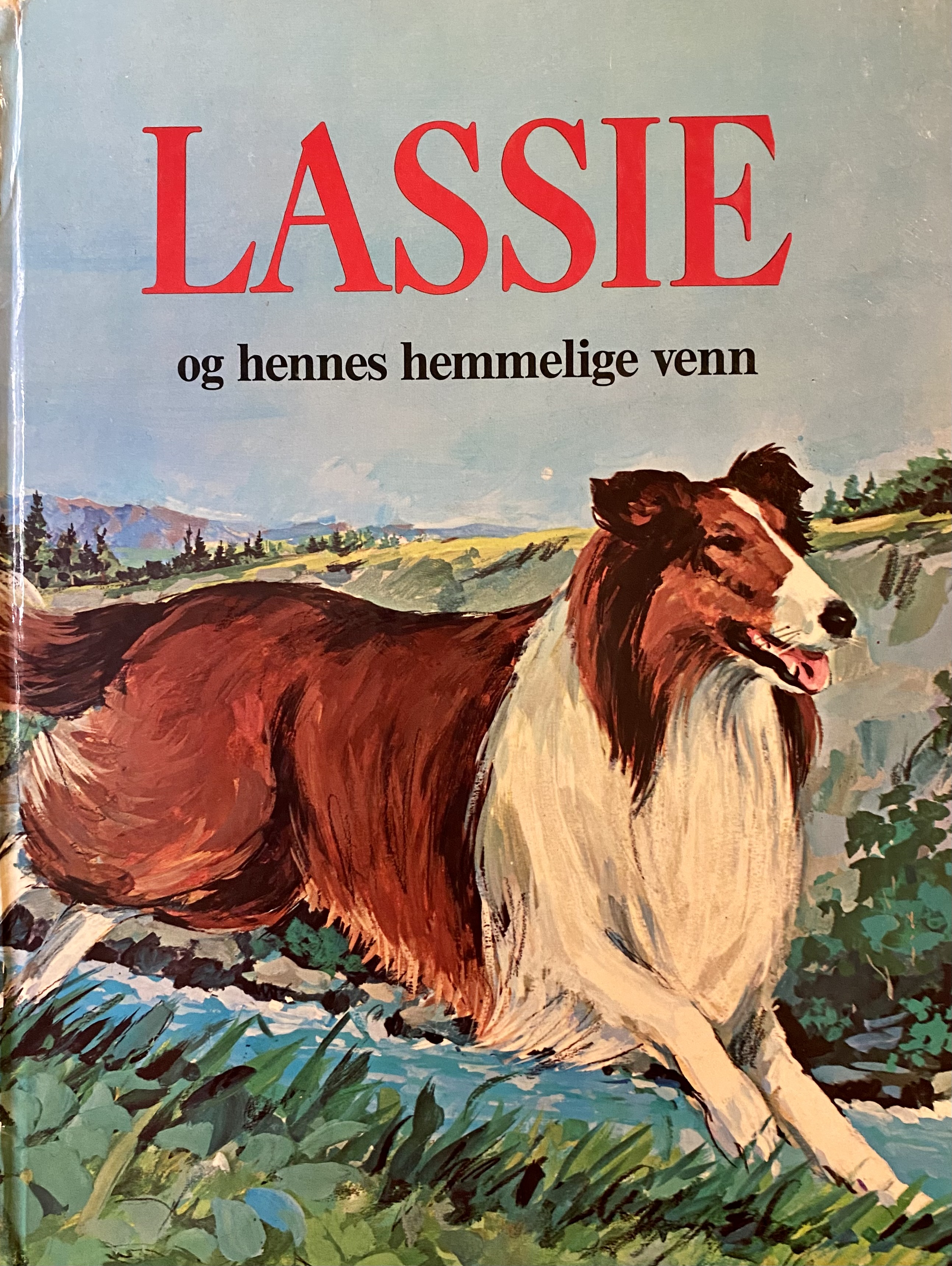 Lassie og hennes hemmelige venn