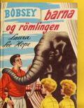 Bobsey-barna og rømlingen