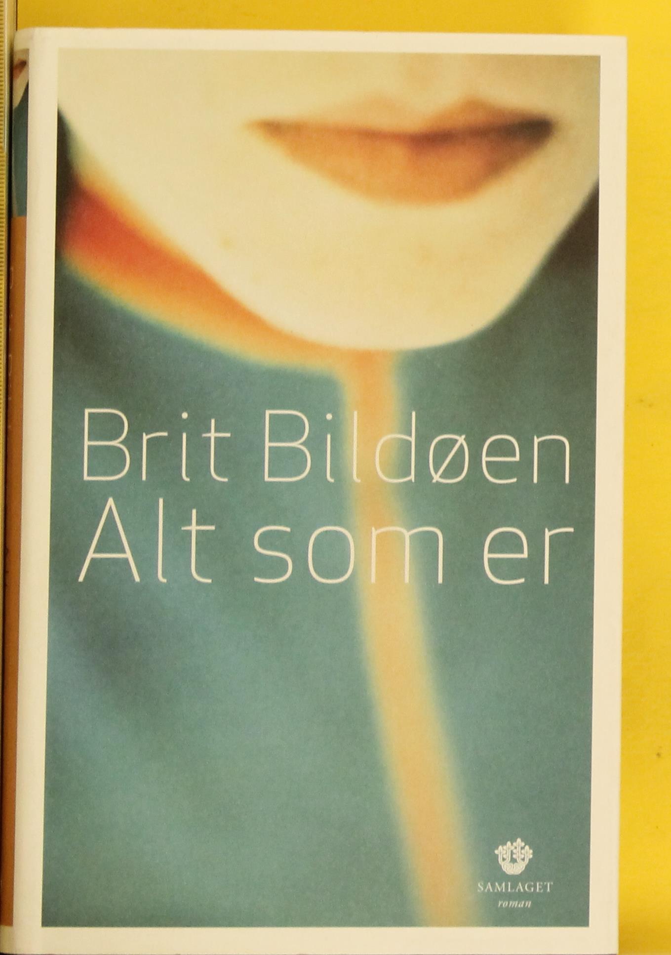 Alt som er : roman