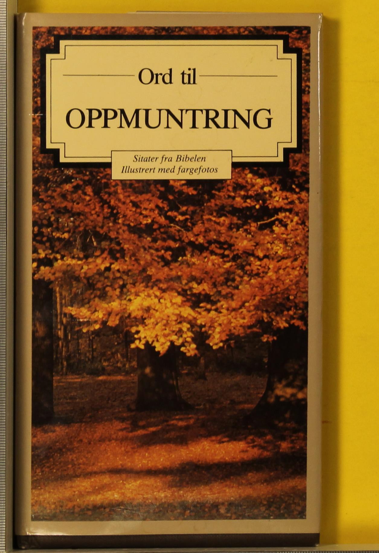 Ord til oppmuntring