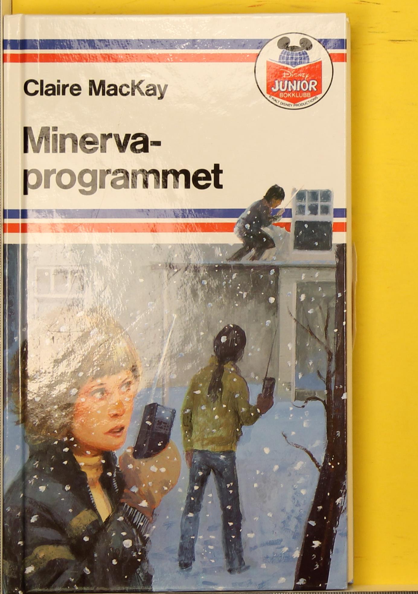 Minerva-programmet