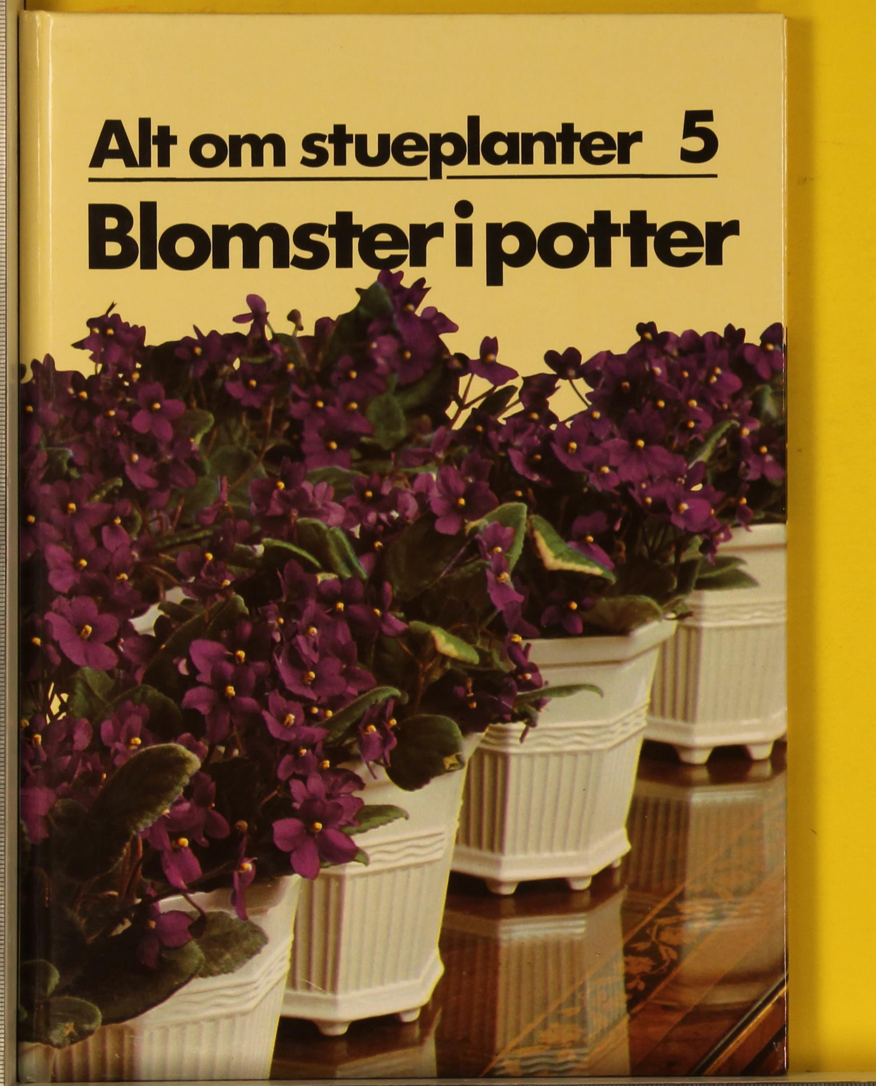 Blomster i potter