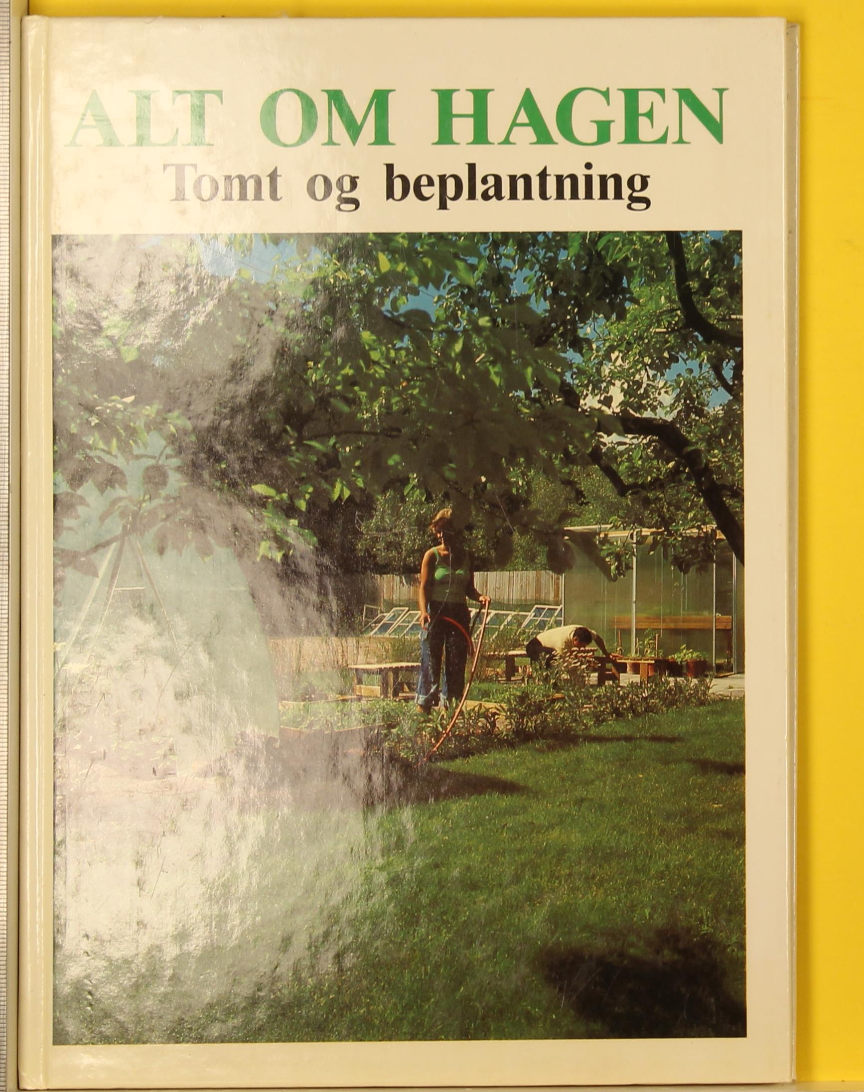 Tomt og beplantning