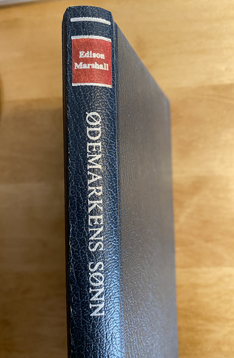 Ødemarkens sønn