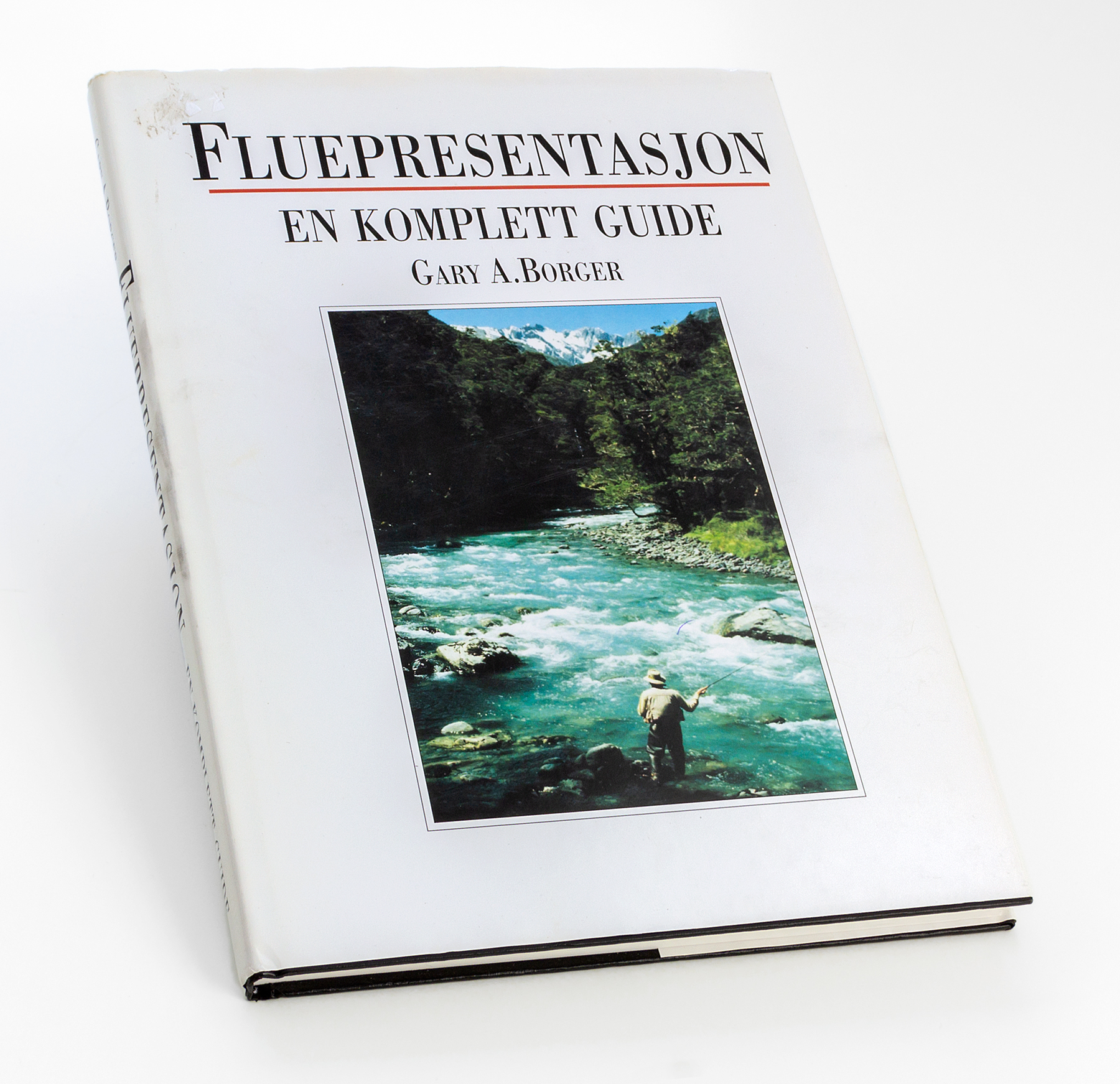 Fluepresentasjon : en komplett guide