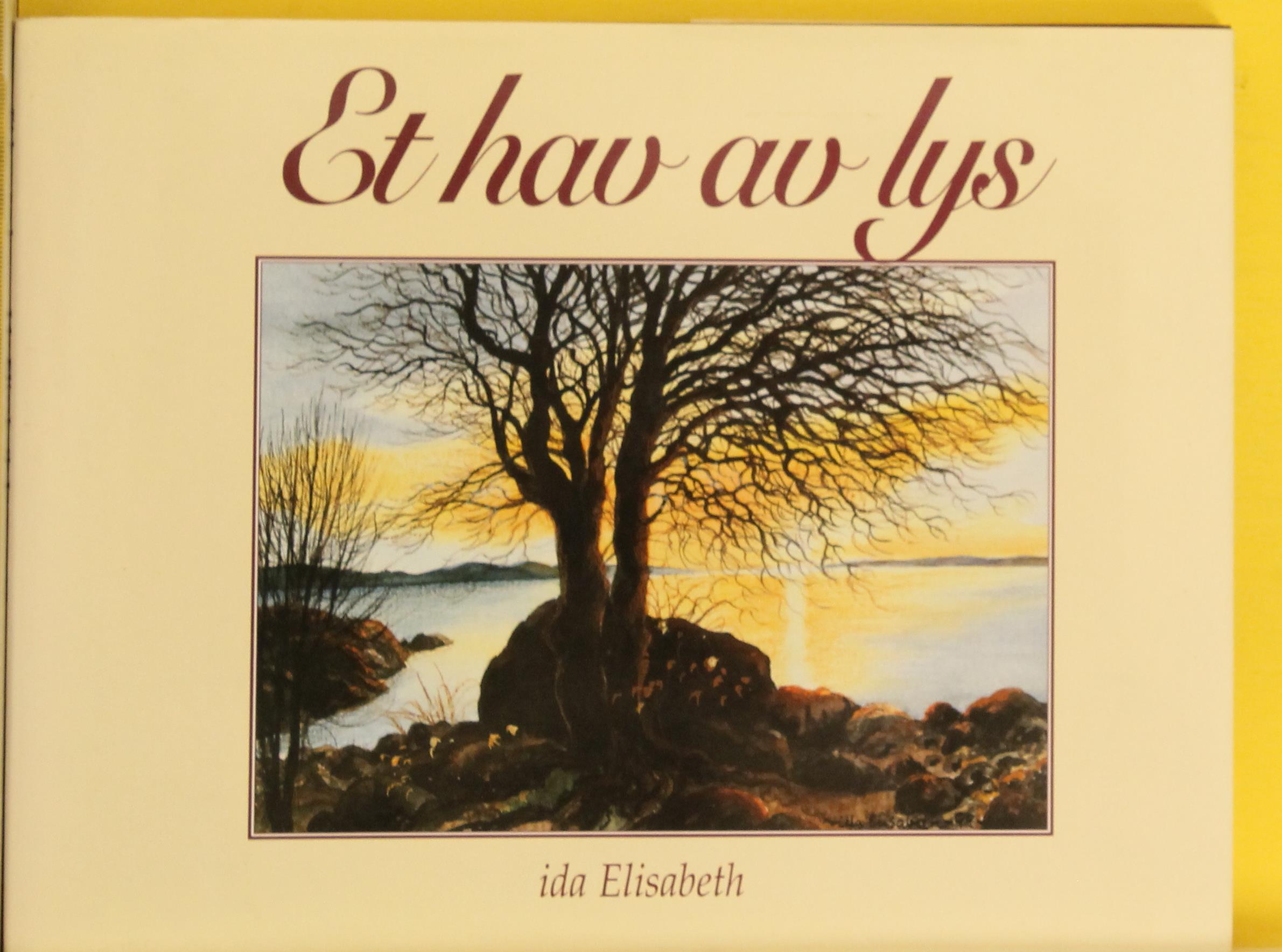 Et hav av lys