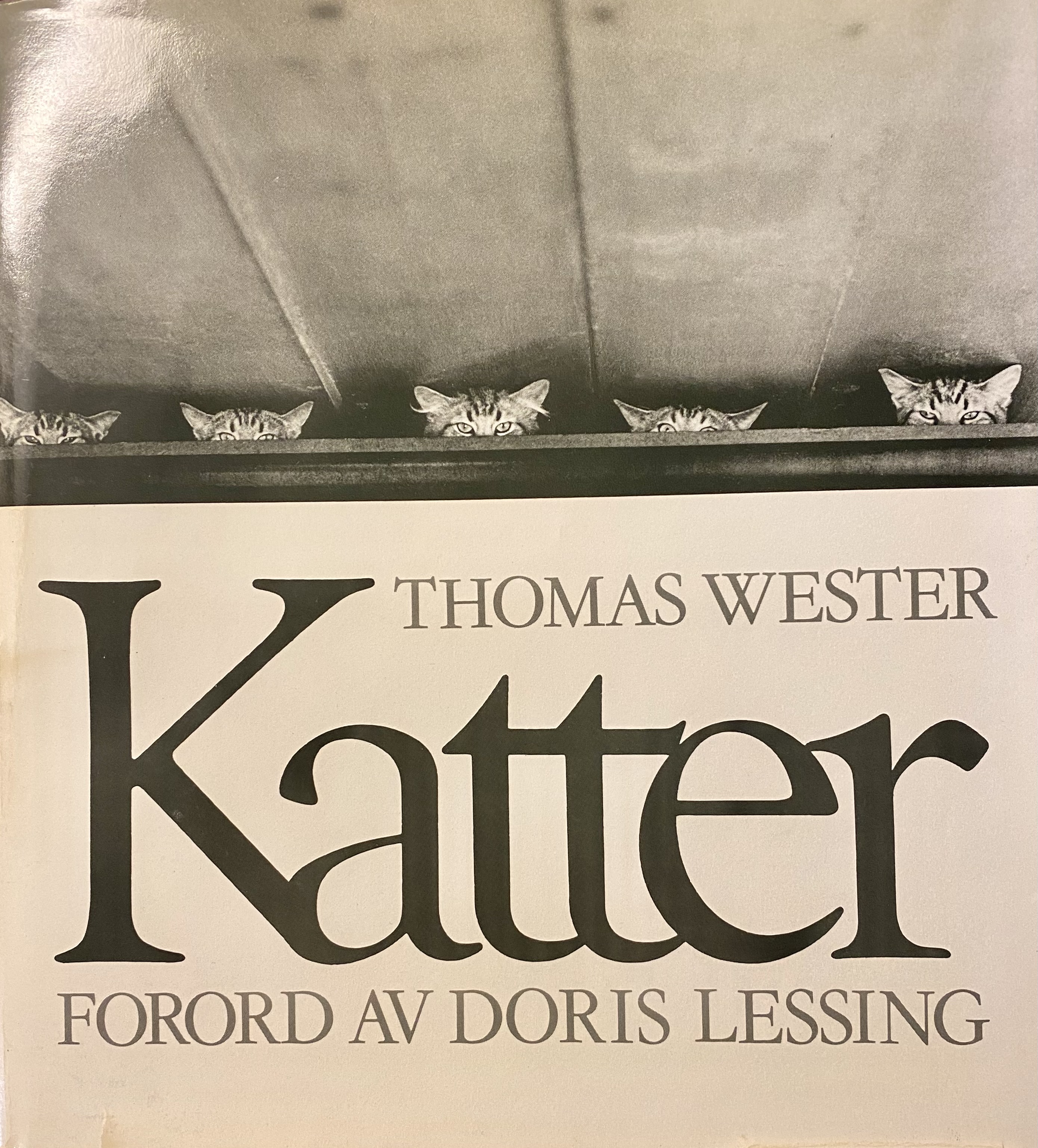 Katter