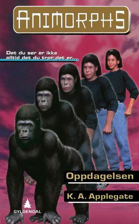 Oppdagelsen