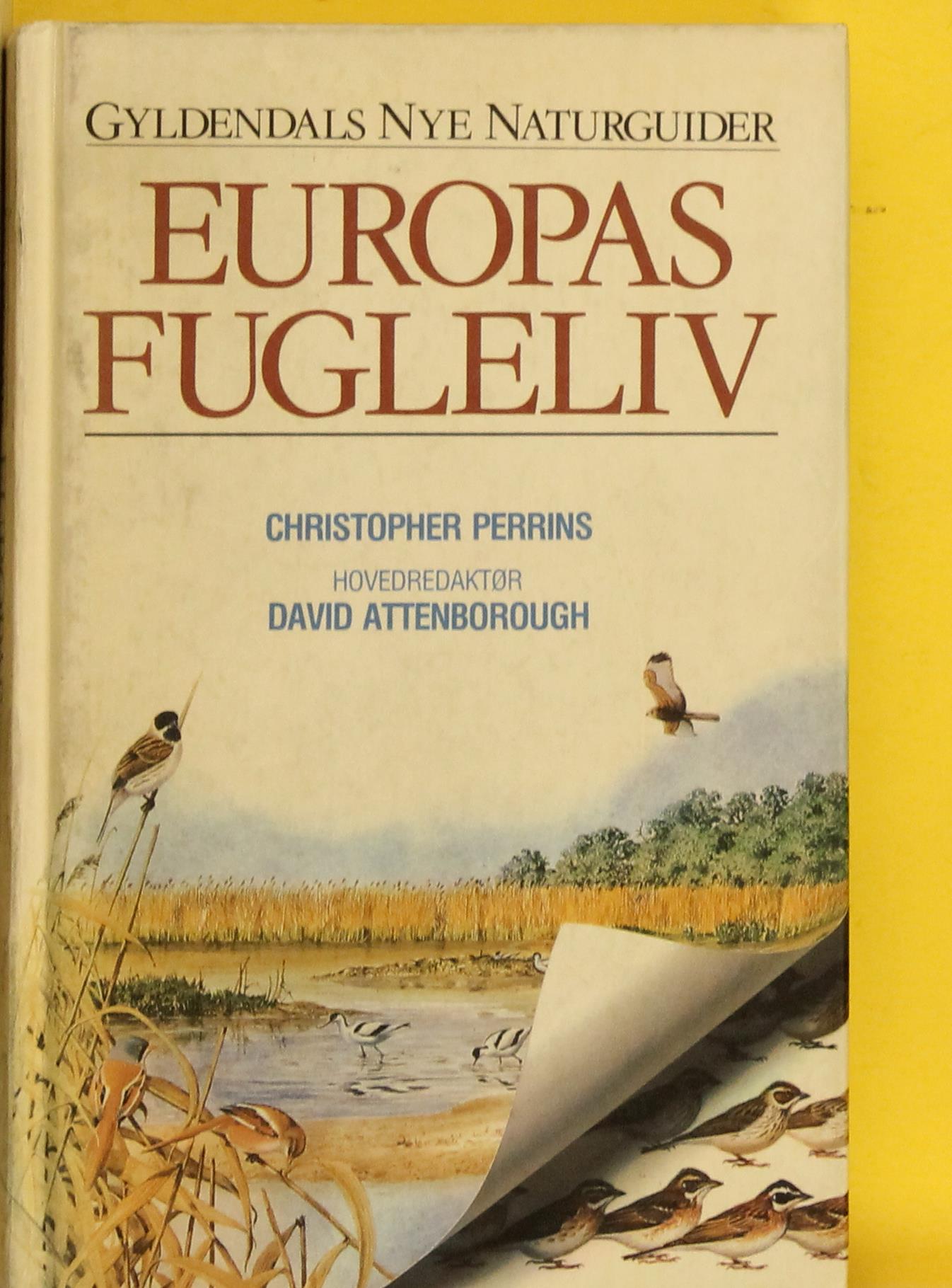 Europas fugleliv