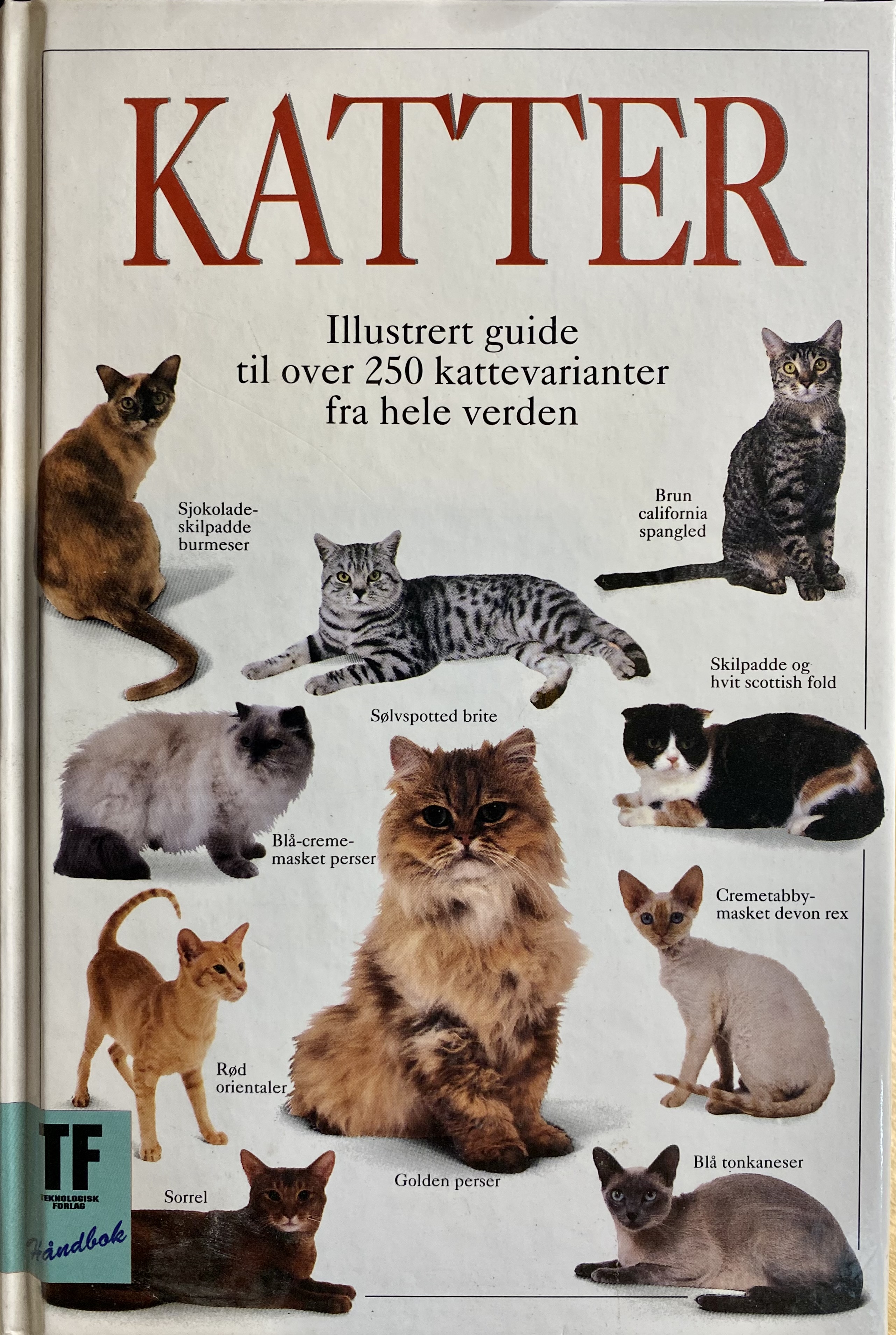 Katter