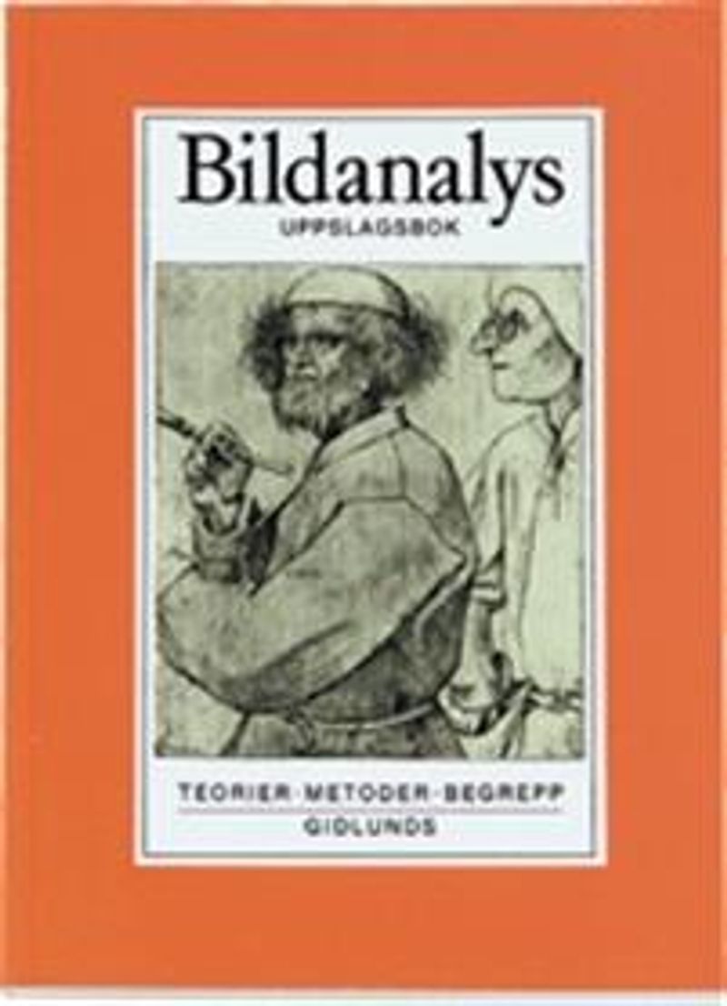 Bildanalys : teorier, metoder, begrepp