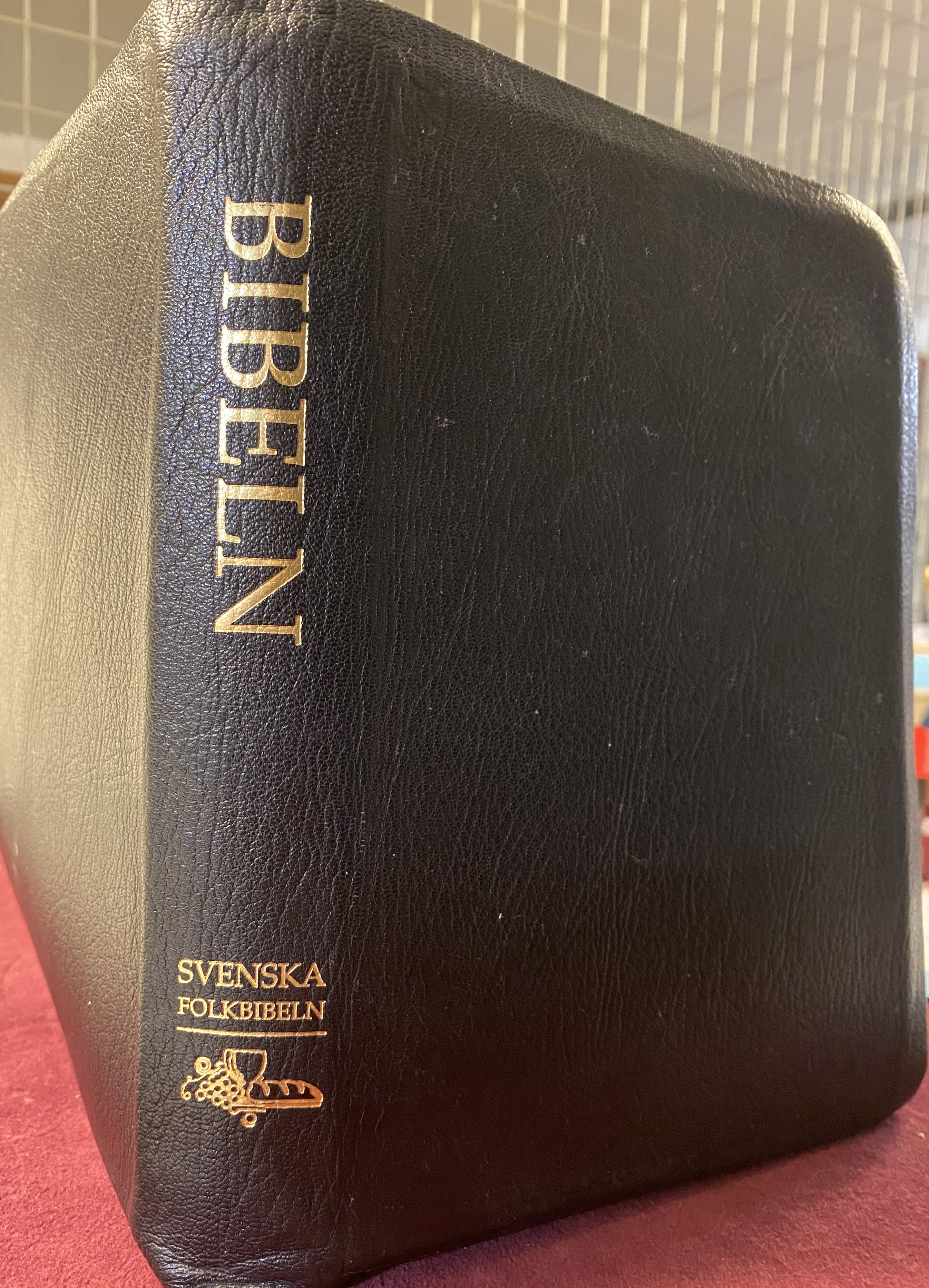 Bibeln : Den heliga skrift : Gamla och Nya testamentets kanoniska böcker : Svenska folkbibeln 98