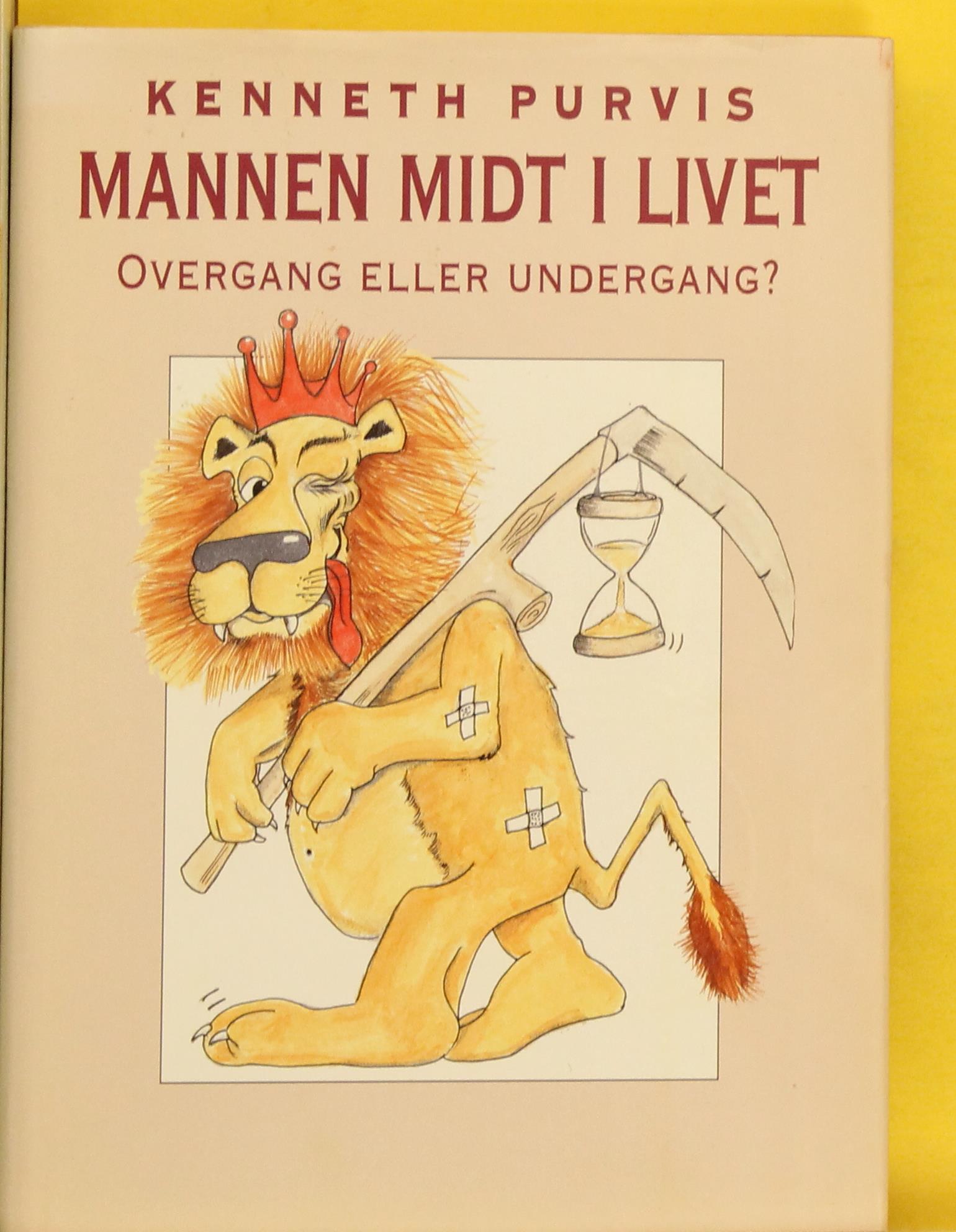 Mannen midt i livet