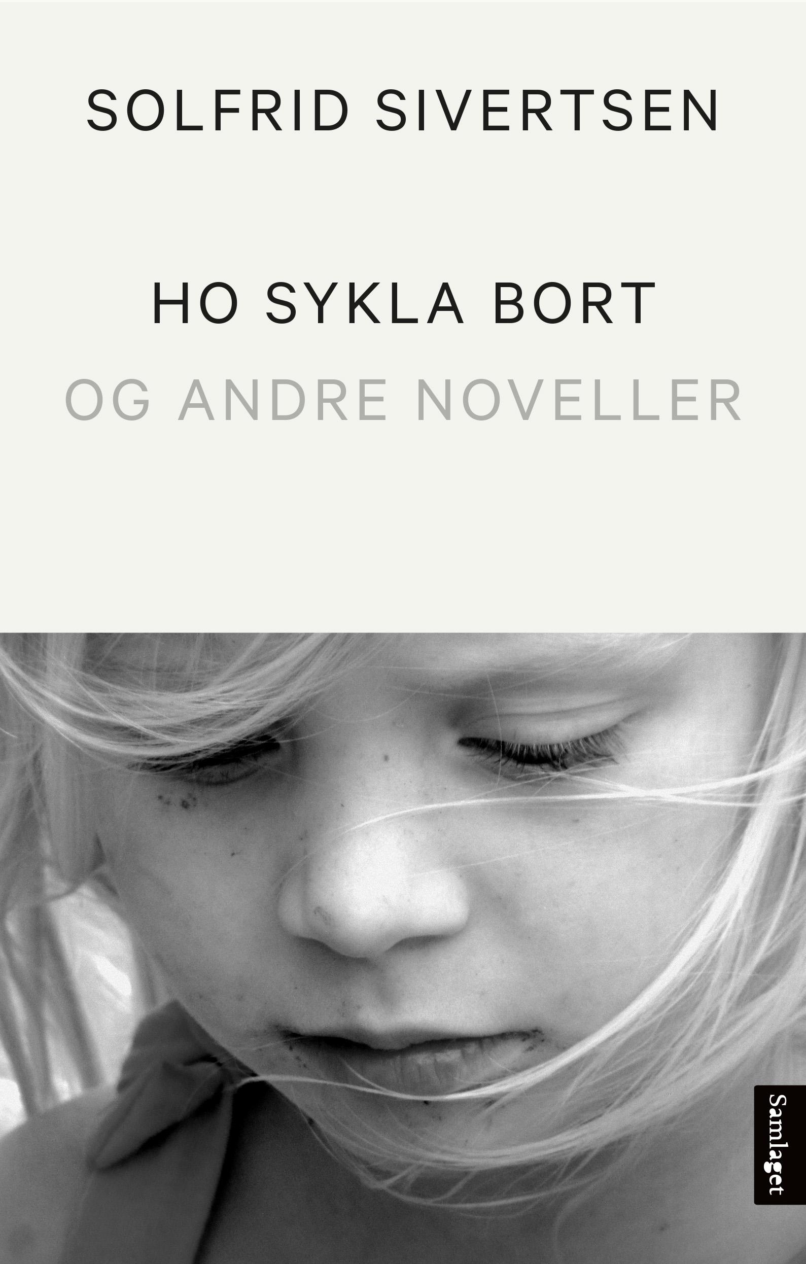 Ho sykla bort