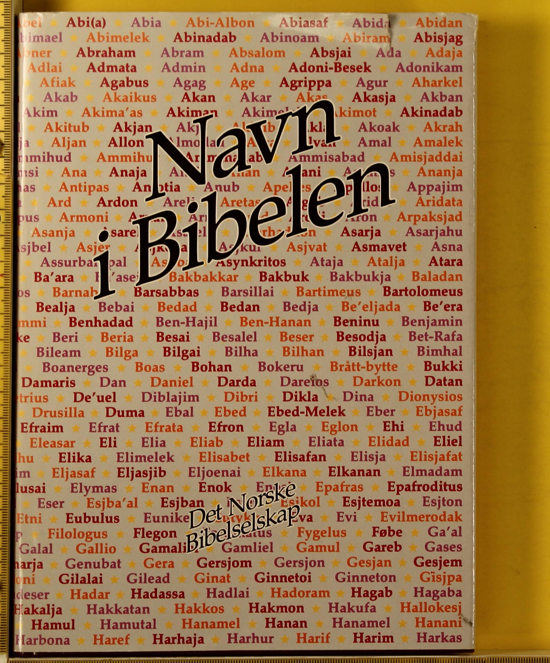 Navn i bibelen