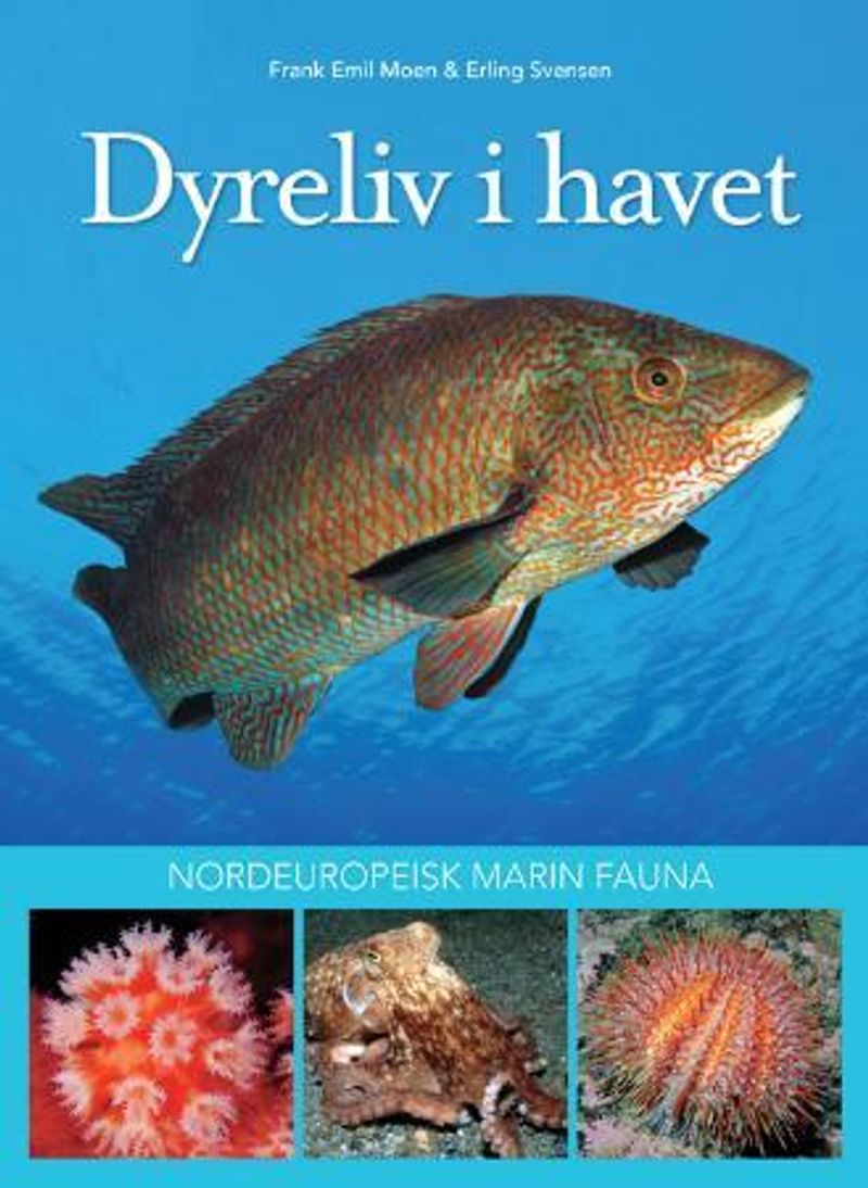 Dyreliv i havet