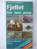 Fjellet