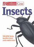 Insects