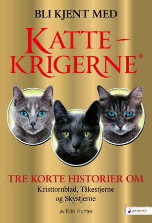 Ytterligare åtgärder