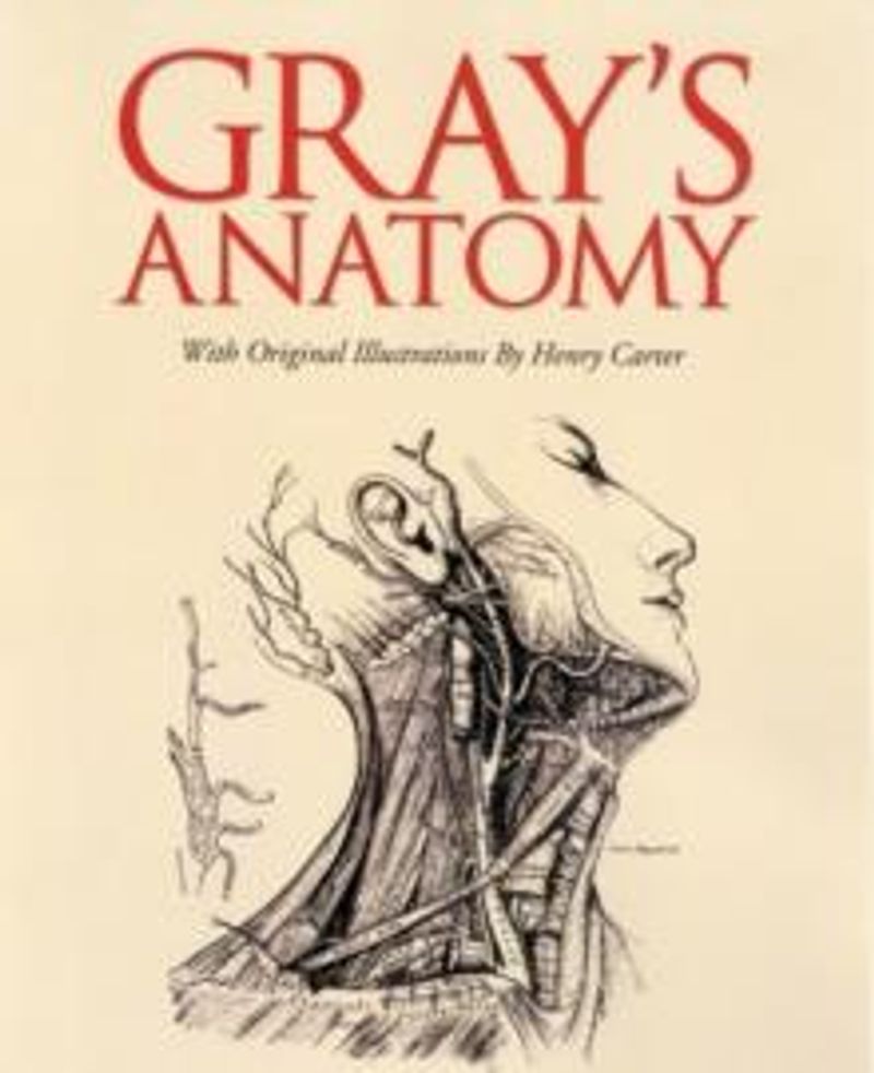 Gray's anatomy