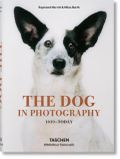 The dog in photography 1839-today