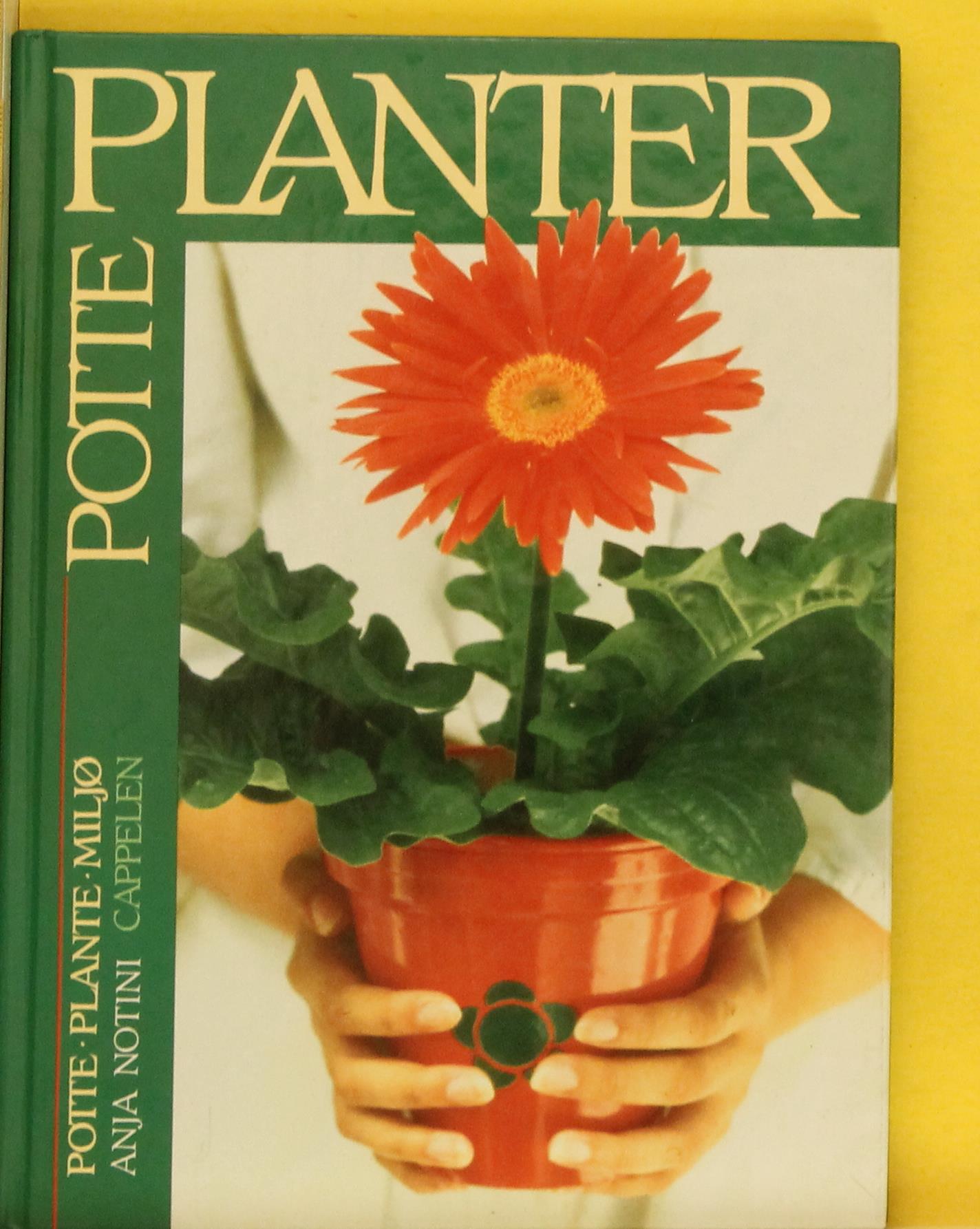 Potteplanter