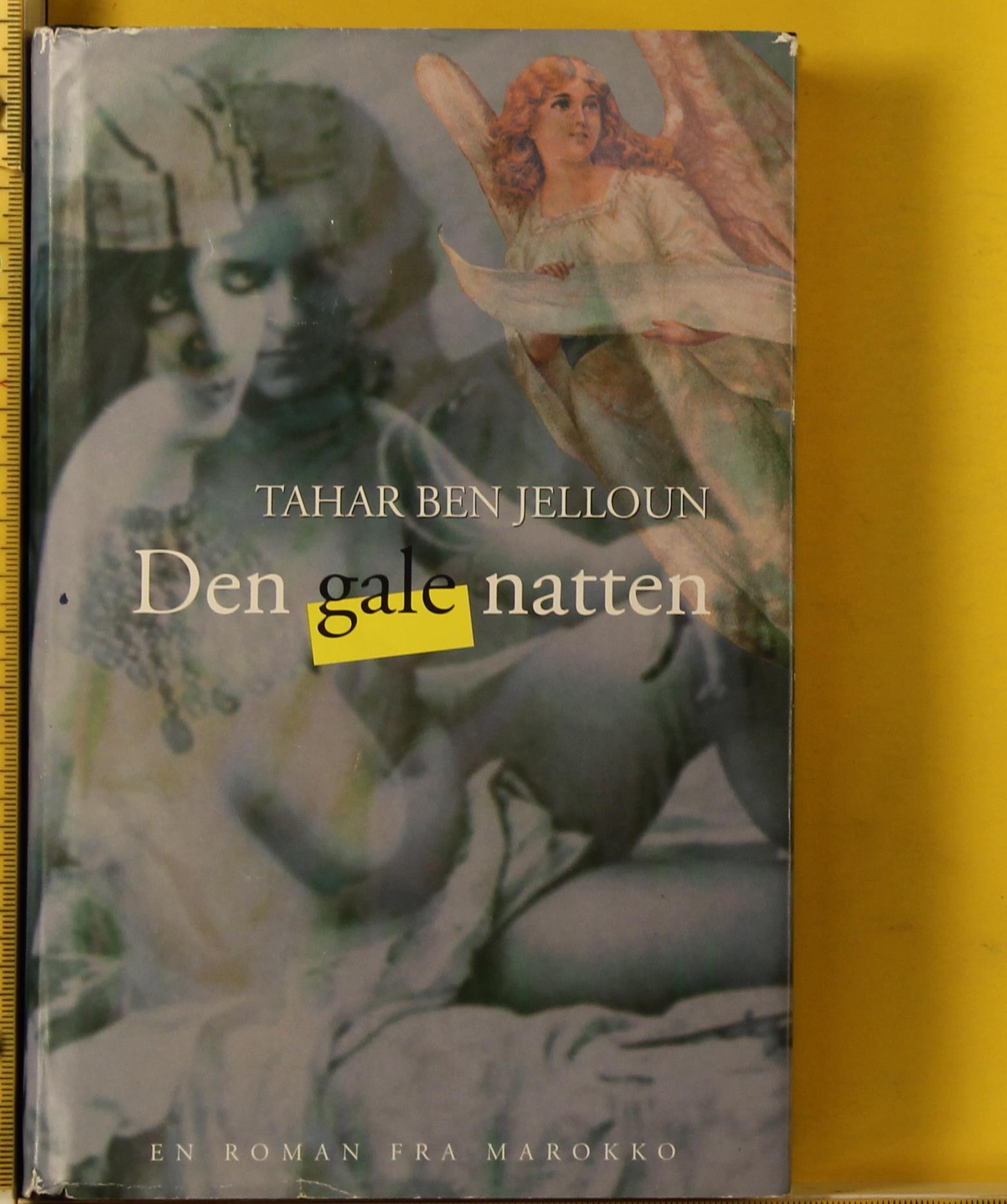 Den gale natten