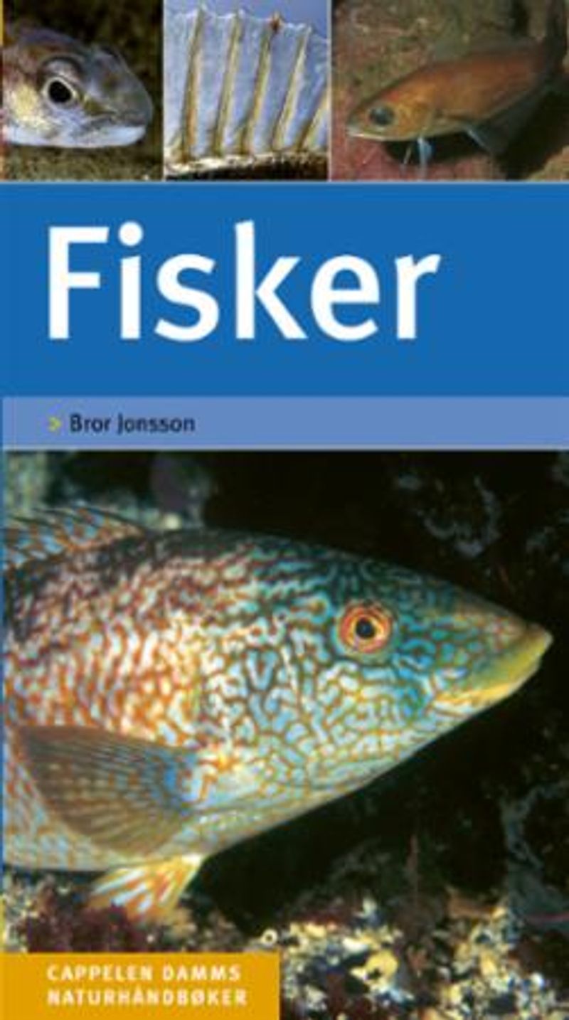 Fisker