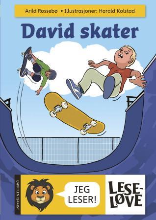 David skater