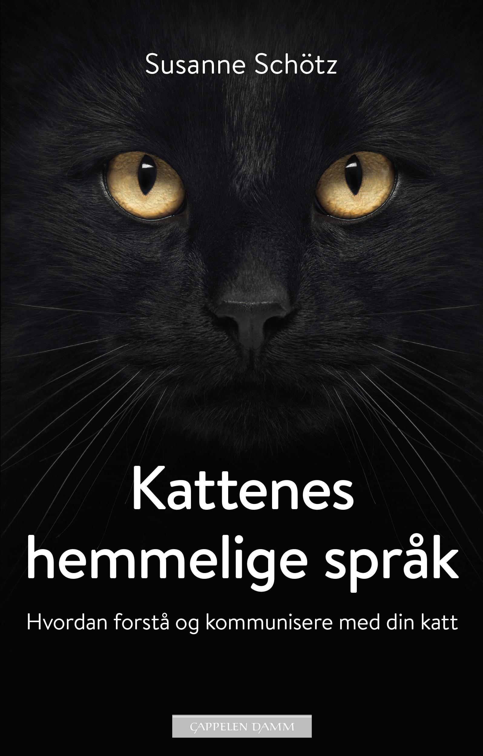 Kattenes hemmelige språk