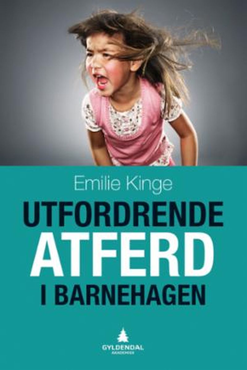 Utfordrende atferd i barnehagen