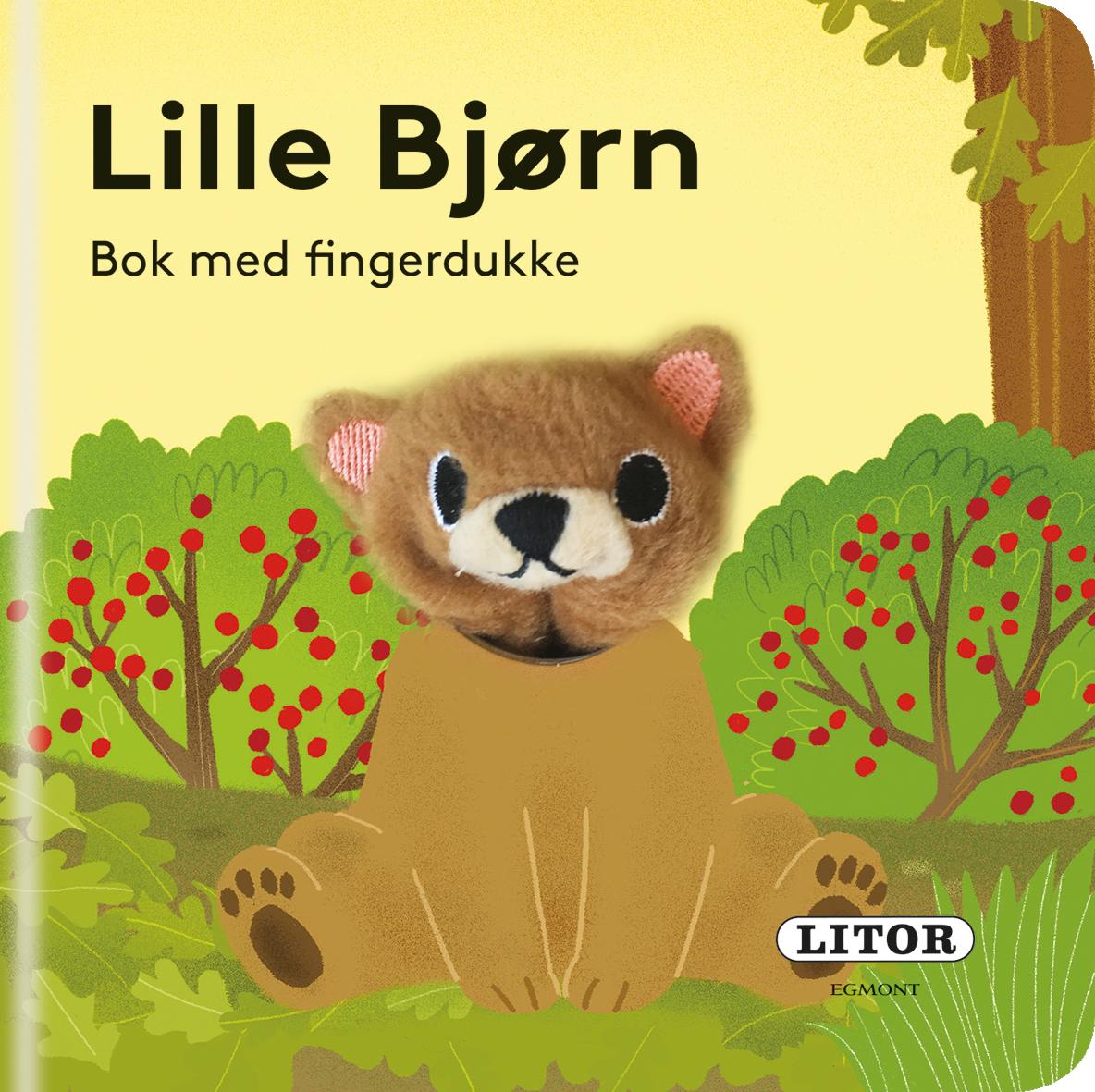 Lille bjørn