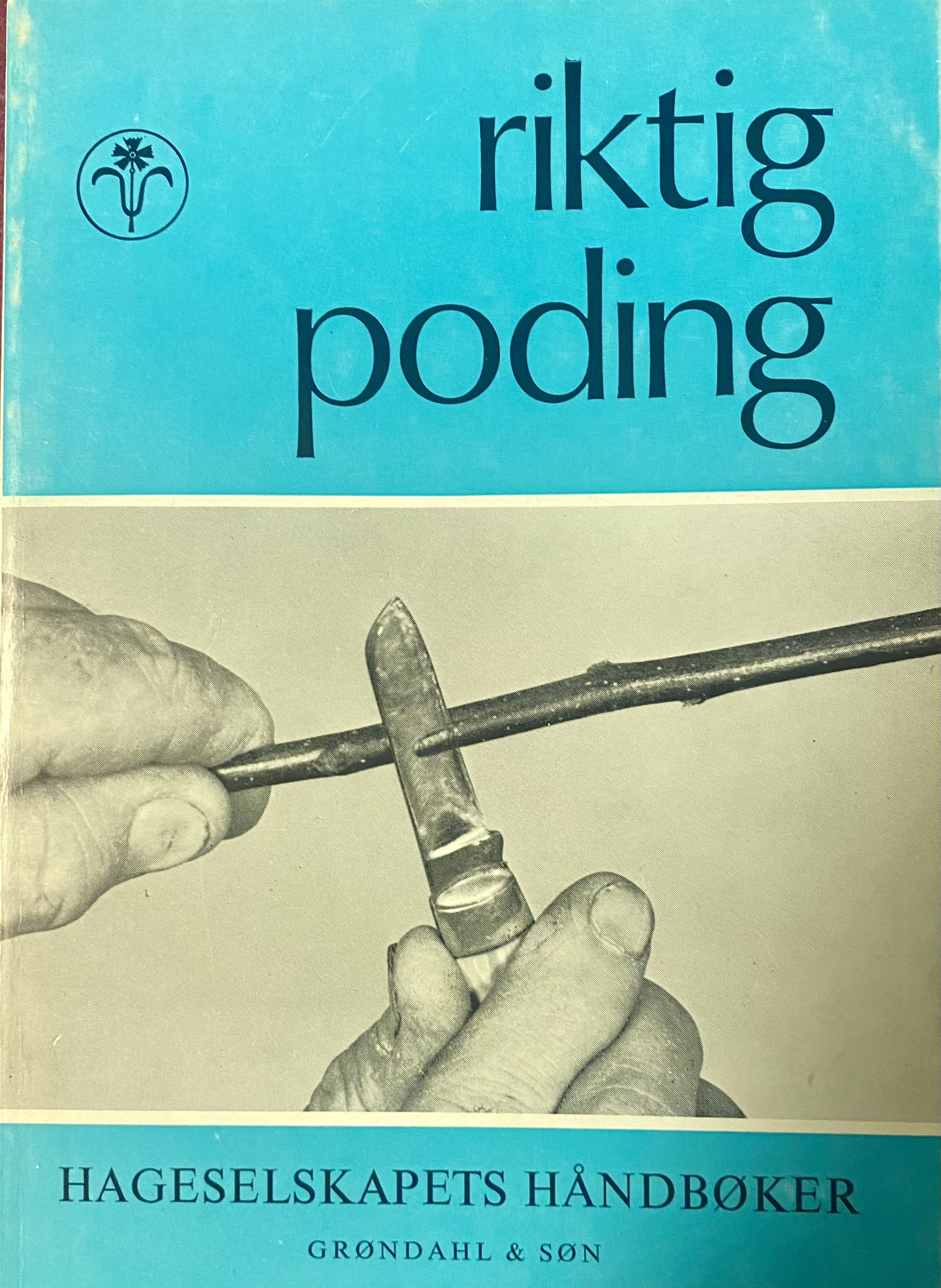 Riktig poding