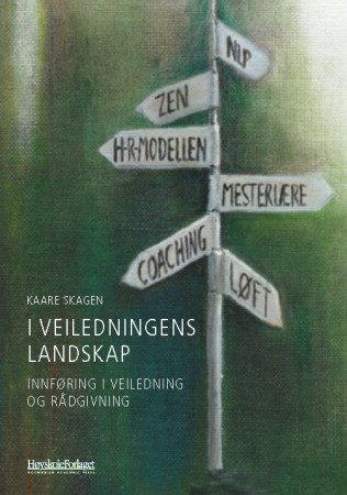 I veiledningens landskap