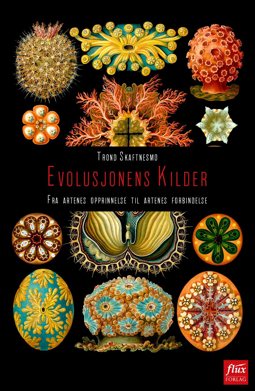 Evolusjonens kilder