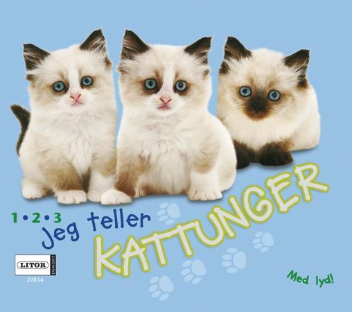 Jeg teller kattunger