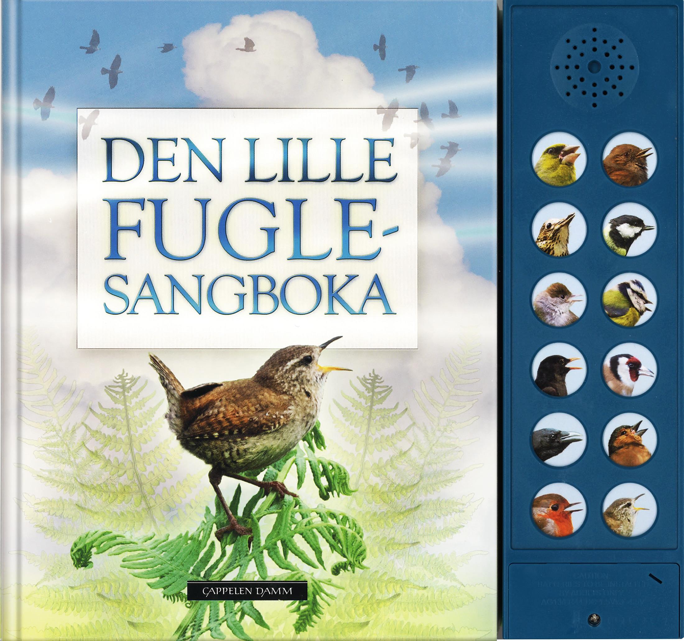 Den lille fuglesangboka