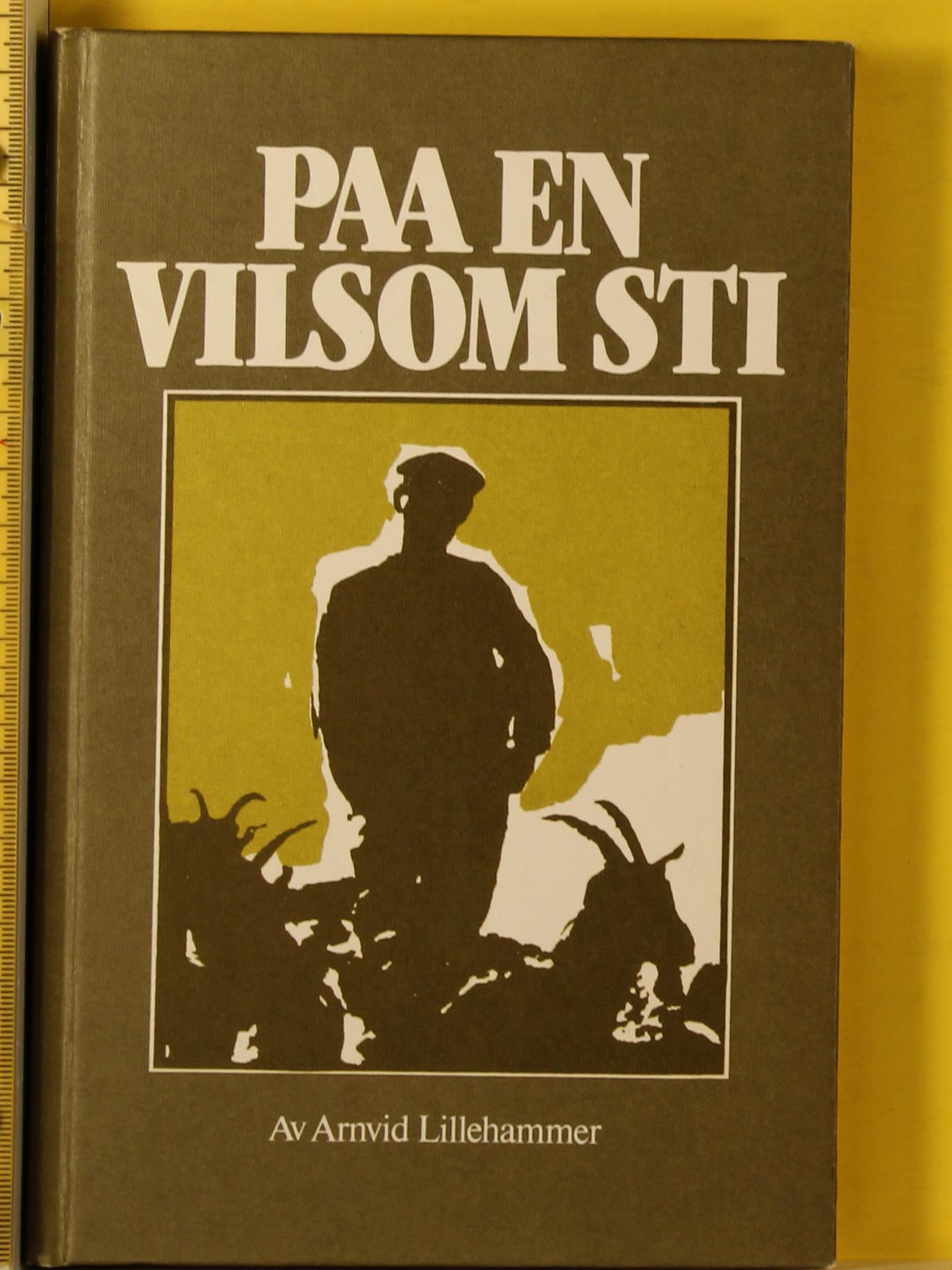 Paa en vilsom sti : ei forteljing frå Ryfylke