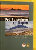 Frå Feisteinen til Napen : stadnamn i Rogaland