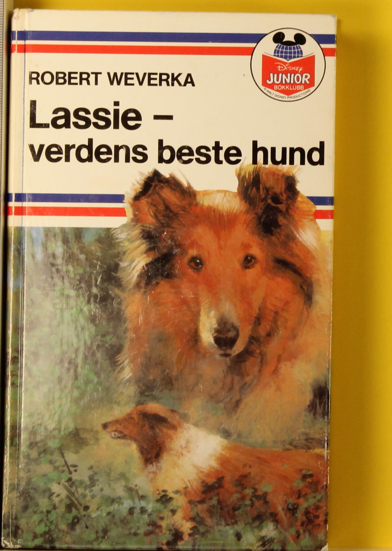 Lassie - verdens beste hund