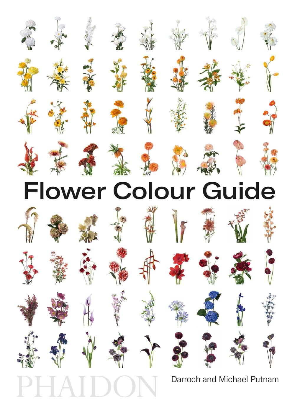 Flower colour guide