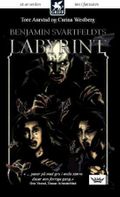 Benjamin Svartfeldts labyrint