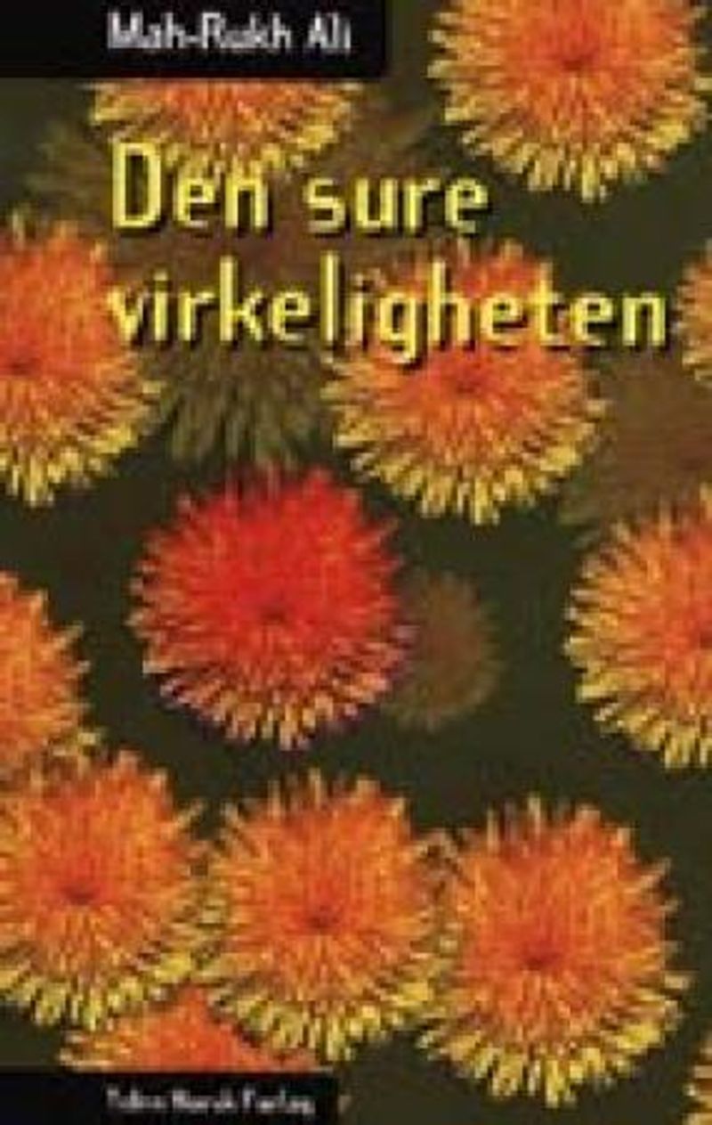 Den sure virkeligheten