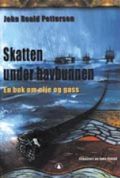 Skatten under havbunnen