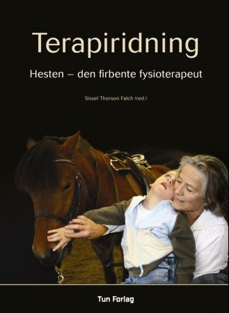 Terapiridning